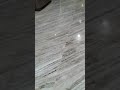 Penting Keramik Lantai Platinum X Type Denver Grey, Video Impian!