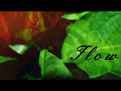 Cospote – Flow (Official Video)