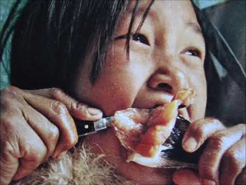 NPaT - PM - NP&T - prána