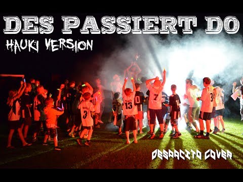 Des passiert do -  Haukipark Version (Despacito Parodie)