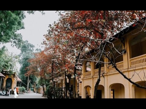 Từ trang sách cũ - Hồng Tước