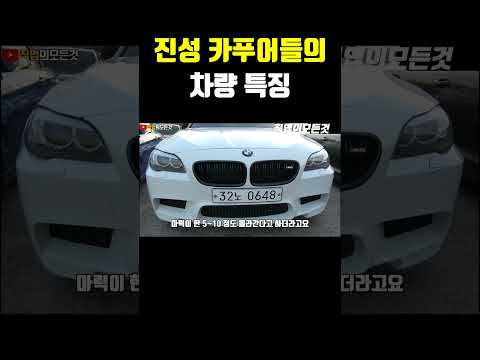 진성 카푸어들의 차량 특징