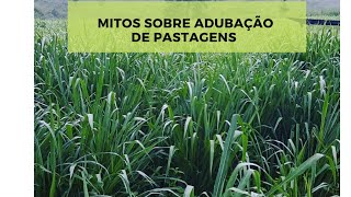 MITOS NA ADUBAÇÃO NITROGENADA EM PASTAGENS