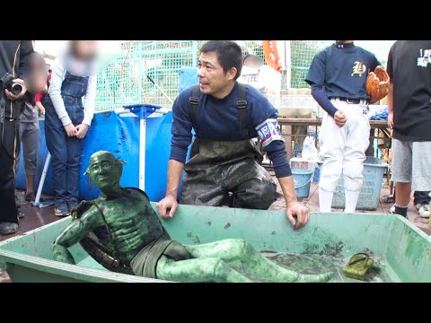 尾を持つクモが琥珀の中で発見される