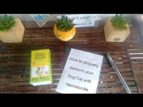 #Dewormer How to USE PYRANTEL EMBONATE NEMATOCIDE  PAANO i-DEWORM ANG DOG and CAT for Beginners