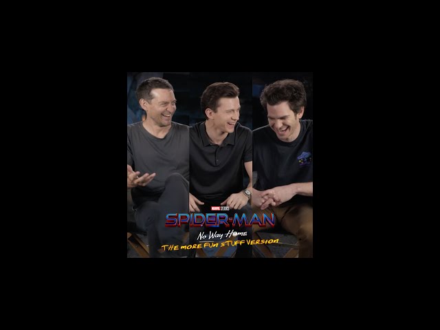 The More Fun Stuff Version