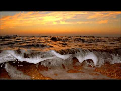 Rey Salinero -  Vasto Mar