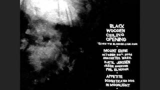 Mount Eerie - In Moonlight