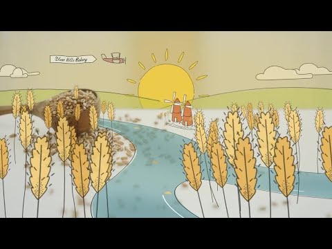 Silver Hills Bakery Brings Sprouted Grain Products To The US