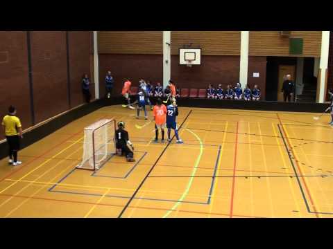 SB Vaasa-Blue Fox, D-tytöt, 16.2.2014, 1. erä