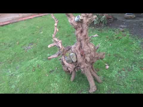 Bonsai Stand Material