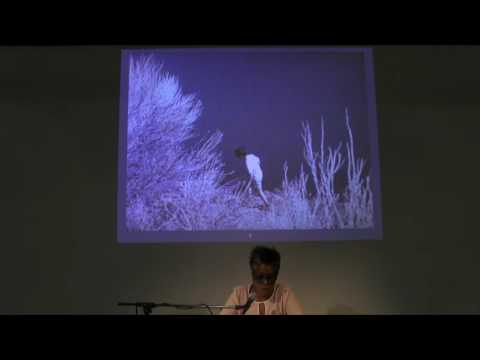 Artists on Artists Lecture - Jennie C. Jones on Agnes Martin