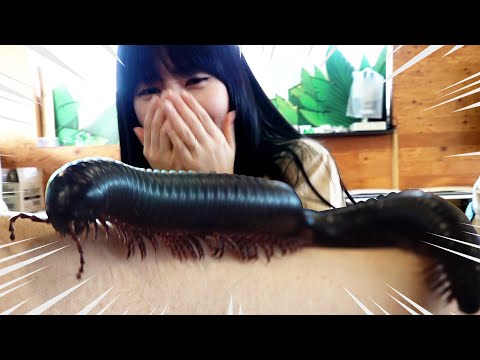 곤충 박물관에 가다! 유라를 비명지르게 한 동물의 정체는? 자연 관찰 학습