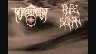 Nordfrost - Furor Teutonicus.wmv