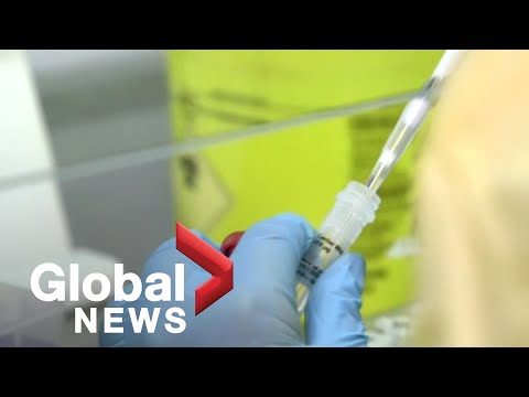 Coronavirus: Global solidarity needed to get vaccines to poorer nations