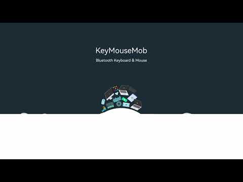 Bluetooth Keyboard and Mouse