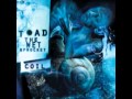 All Things In Time Toad The Wet Sprocket