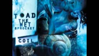 All Things In Time Toad The Wet Sprocket