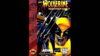 Wolverine: Adamantium Rage - Stage 5
