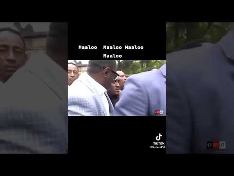 MAALOO MAALOO MAALOO MAALOO