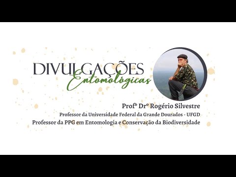 O território das formigas, abelhas e vespas  --- In memorian