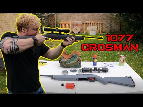 The Crosman 1077 Freestyle Review - BUDGET BEAST! (C02 Air Rifle)