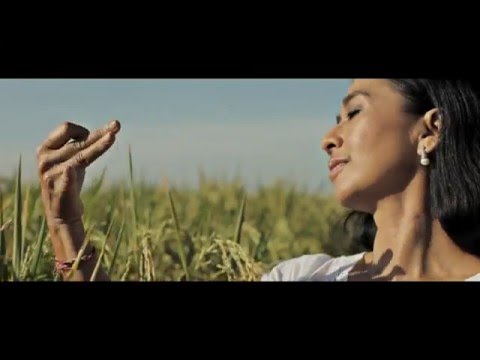 TRI HITA KARANA | Official Video Music - Svara Semesta 2