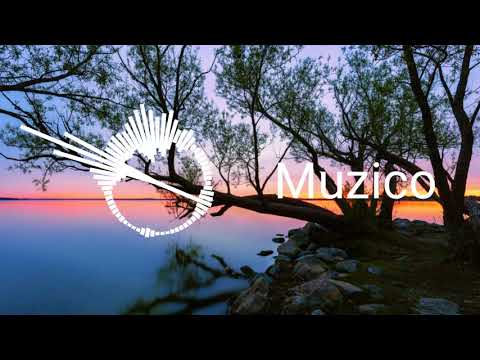 PING PONG X TOKYO DRIFT X TEMPERATURE | Remix/Edit | Muzico