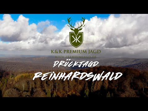 Drückjagd Reinhardswald Hessen 2018 - Der Teufel ist ein Eichhörnchen