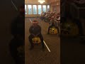 The Landing Of Long Cove Bouncy Ball Races