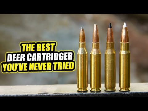 338 Federal: The Best Deer Cartridge You’ve Never Tried