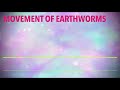 Movement of EARTHWORMS CLASS 6