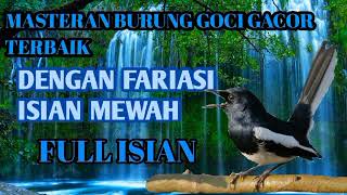 Download lagu PANCINGAN SUARA BURUNG KACER GACOR SUARA NYEMPLONG PARAH, AUDIO SUPER JERNIH. mp3