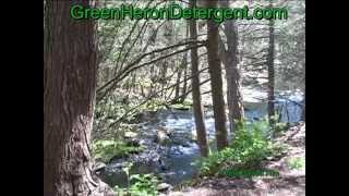 preview picture of video 'Cat Hollow Park Killingly CT by Green Heron Detergent'