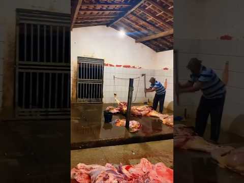 Escândalo Sanitário: Matadouro de Nova Iorque do MA funciona em meio a sujeira, cães e carne no chão