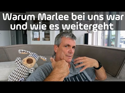 Warum Marlee bei uns war und wie es weitergeht - Marcus ganz privat