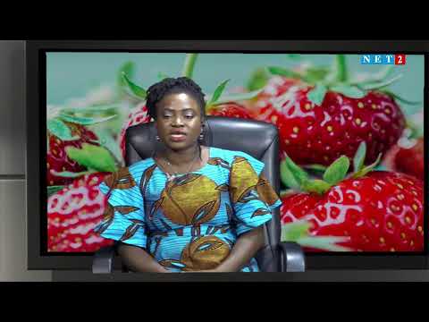 SECRETS OF HEALTH WITH OHENEBA BARIMA NTIM (NOVEMBER 3, 2023)