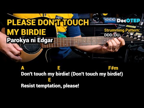 Please Don't Touch My Birdie - Parokya ni Edgar (Guitar Chords Tutorial with Lyrics)