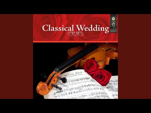 Annen Polka, Op. 117, RV 117