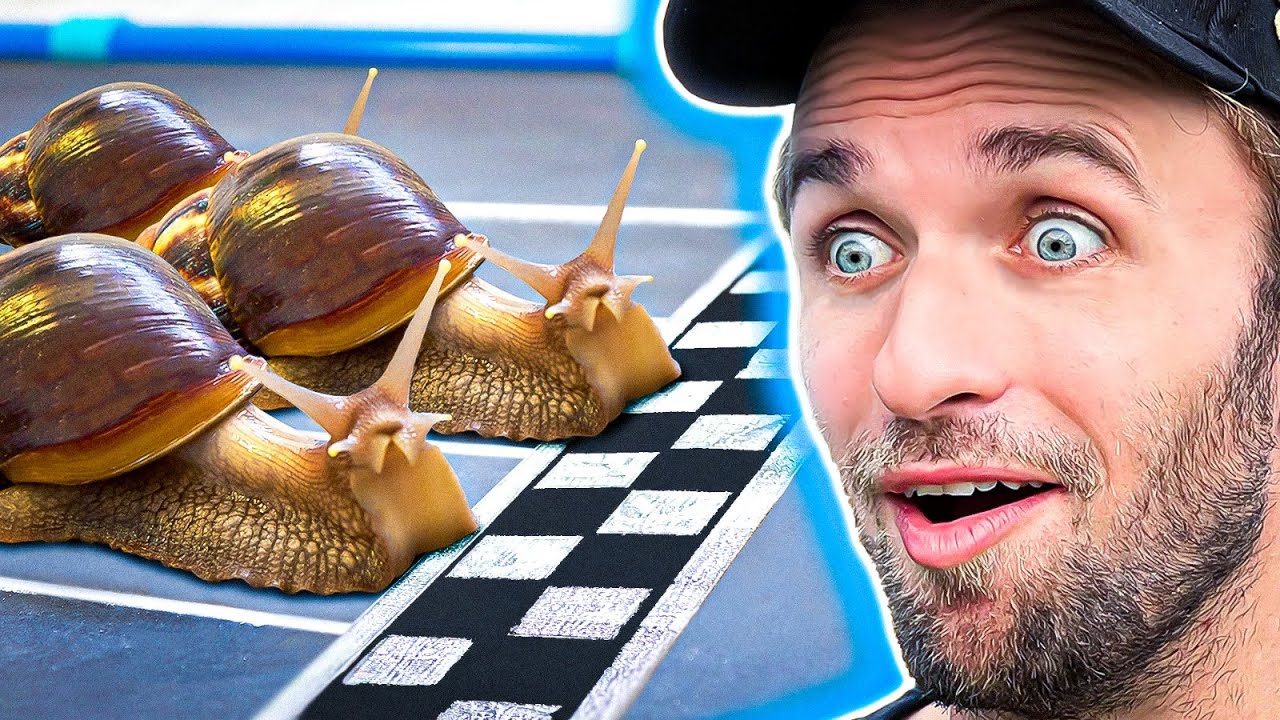 J'ai pu acheter ça sur internet thumbnail