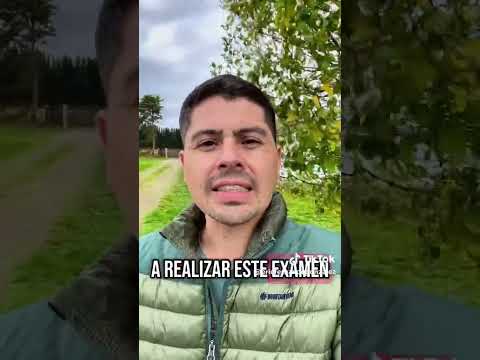 🔴¿sabias que el gobierno...?🔴 #kast #gobierno #biobío #chile #noticias #biobio #emprendedor #dúo