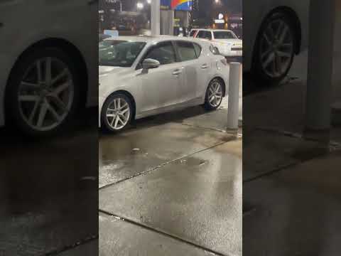 Owner Dog Ii - president of the local gas station