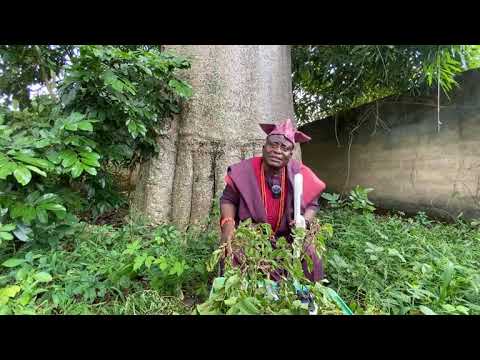 Ise oshole tutu ati ise ola lati enu baba egbeji ogbomosho