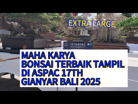 ASPAC Gianyar Bali Bonsai Super Besar tampil di size XL