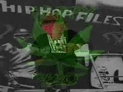 N.R - Trantafili I Gjelbert