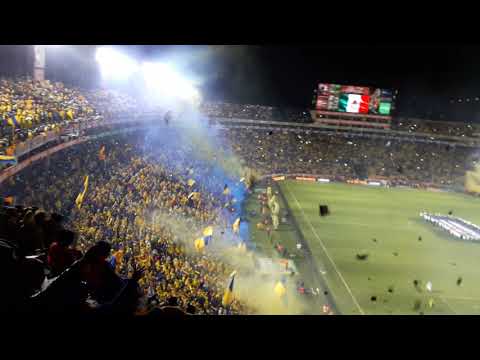 "Tigres vs Rayados (Final Regia) Recibimiento en el volcán pt2." Barra: Libres y Lokos &bull; Club: Tigres