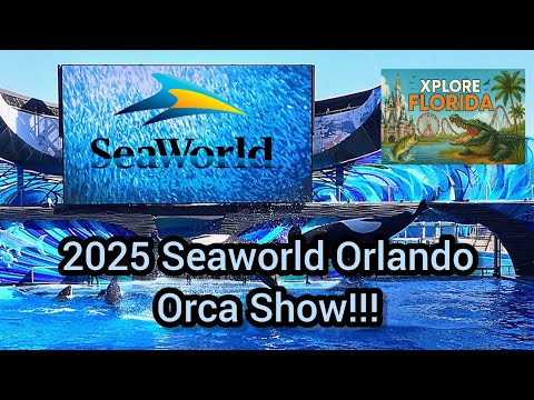 2025 SeaWorld Orlando ORCA Show in 4K | Full Killer Whale Performance!