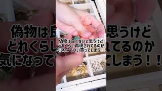 ジュエリーボックス片付け動画　#日記 #片付け #指輪