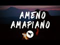 Goya Menor, Nektunez – Ameno Amapiano Remix (Lyrics)