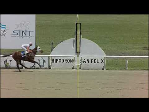 201203 c01 1° WALLABIE - SINT PAYSADU